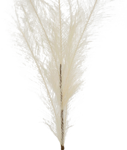 5981 PLUME ELFENBEIN 80CM